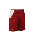 4 Shtelle Shorts