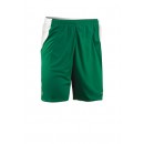 4 Shtelle Shorts